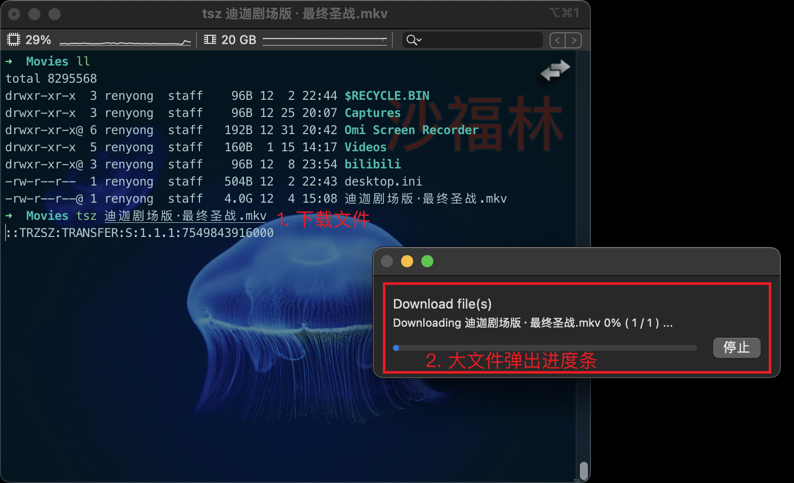 下载文件