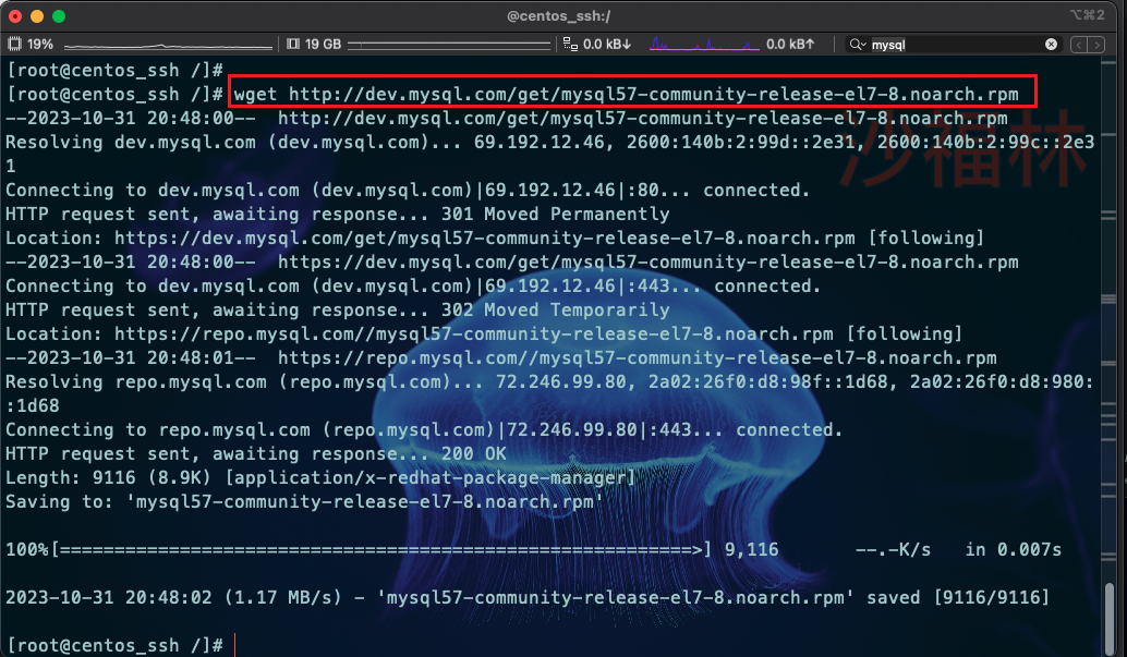 1.下载mysql源.png