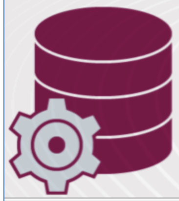 PL/SQL
